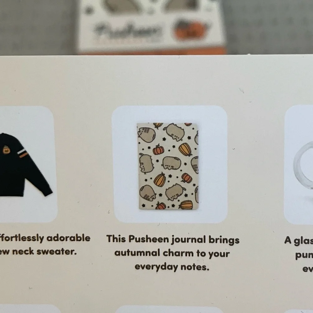 Pusheen new autumn